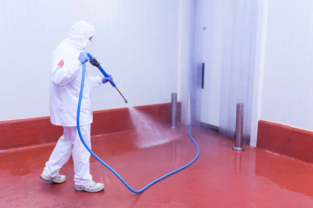 Best Roof Washing  in Corning, AR